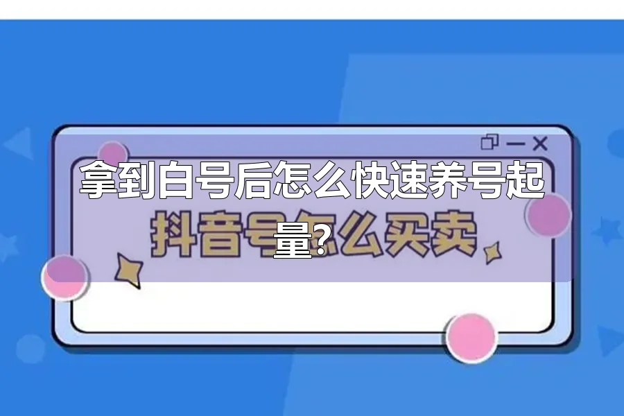 拿到白号后怎么快速养号起量?